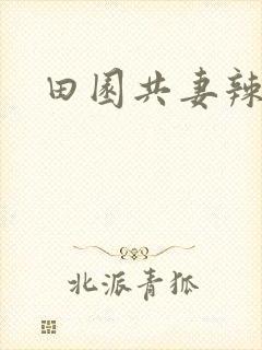田园共妻辣
