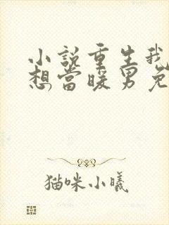 小说重生我真没想当暖男免费阅读封面