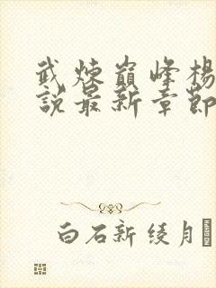 武炼巅峰杨开小说最新章节列表最