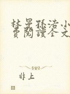 林曼孙浩小说免费阅读全文最新章节