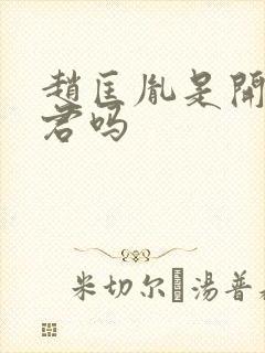 赵匡胤是开国之君吗