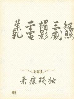 叶子楣三级露全乳电影剧照封面