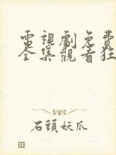 电视剧免费观看全集观看狂飙