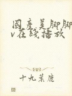 国产美脚脚交av在线播放