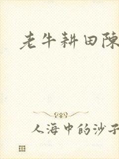 老牛耕田陈雪