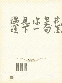 遇见你是我的幸运下一句怎么回答封面