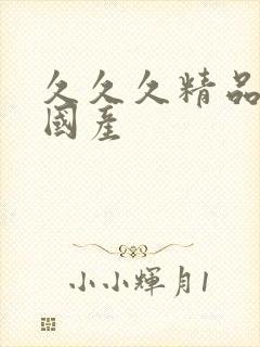 久久久精品日韩国产