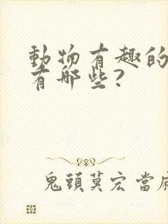 动物有趣的耳朵有哪些?