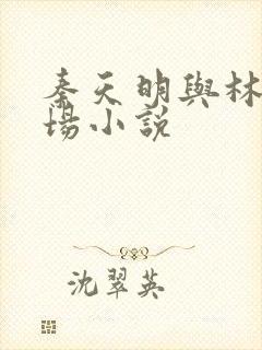 秦天明与林婉官场小说