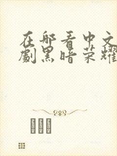 在哪看中文版韩剧黑暗荣耀第二季封面