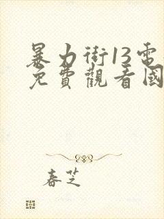 暴力街13电影免费观看国语版