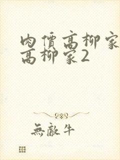 肉价高柳家肉嫁高柳家2