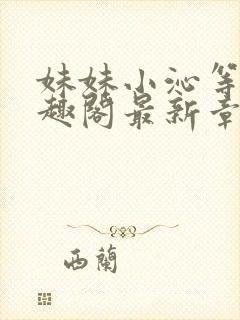 妹妹小沁等级笔趣阁最新章节封面