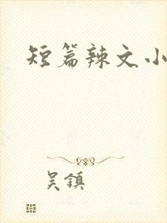 短篇辣文小说
