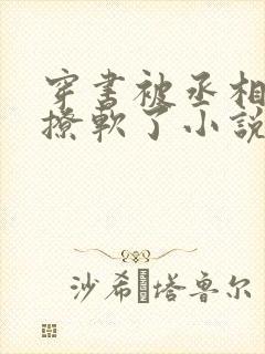 穿书被丞相大人撩软了小说免费阅读封面