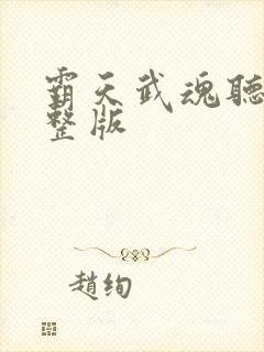 霸天武魂听书完整版封面