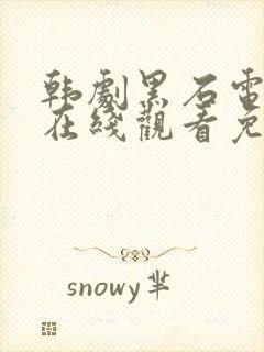 韩剧黑石电视剧在线观看免费高清