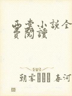 西棠小说全文免费阅读