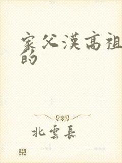 家父汉高祖小说的封面