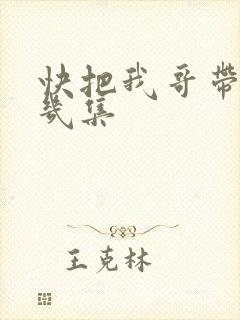 快把我哥带走有几集