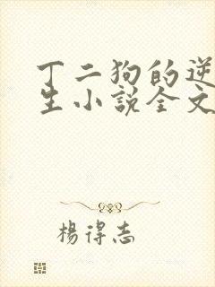 丁二狗的逆袭人生小说全文阅读