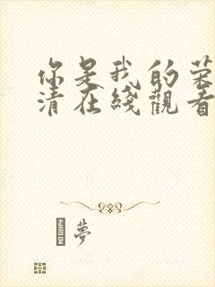 你是我的荣耀高清在线观看完整版