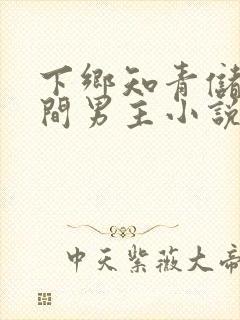 下乡知青储物空间男主小说