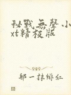 秘战无声小说txt精校版封面