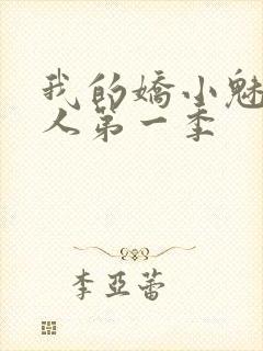 我的娇小魅魔仆人第一季