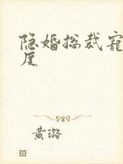 隐婚总裁宠妻无度封面