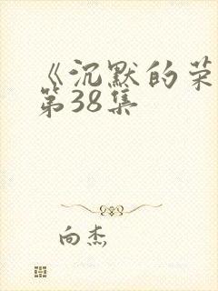 《沉默的荣耀》第38集