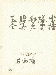 王牌部队电视剧全集免费播放封面