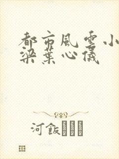 都市风云小说乔梁叶心仪封面