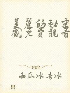 美丽的秘密电视剧免费观看完整版在线观看