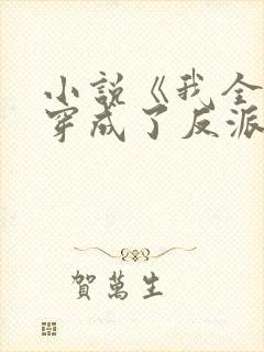 小说《我全家都穿成了反派》