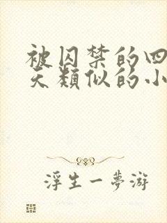 被囚禁的四十九天类似的小说