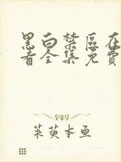 黑白禁区在线观看全集免费