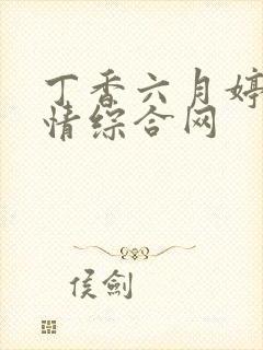 丁香六月婷婷激情综合网