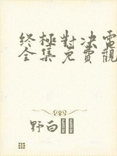 终极对决电视剧全集免费观看终极