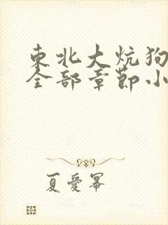 东北大炕狗儿娘全部章节小说