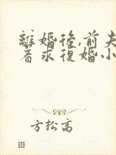 离婚后,前夫哭着求复婚小说阅读