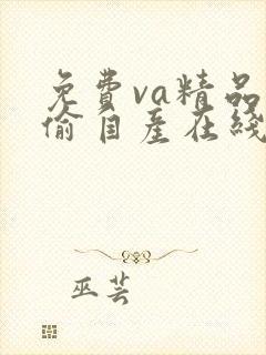 免费va精品国偷自产在线