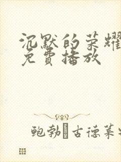 沉默的荣耀全集免费播放封面