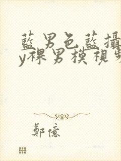 蓝男色蓝摄gay裸男模视频