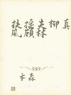 扶摇夫柳真真顾风顾林