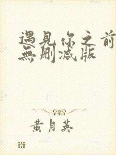 遇见你之前电影无删减版