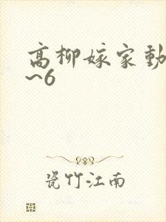 高柳嫁家动漫1~6