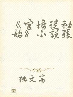 《官场从秘书开始》小说张俊封面