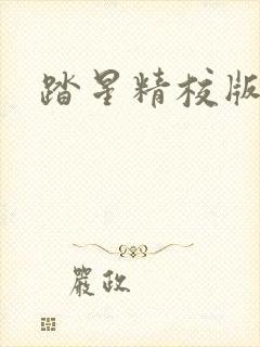 踏星精校版下载封面