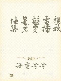 他是谁电视剧全集免费播放下载